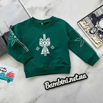 Свитшот для девочки с рисунком Голубой 85349, Bambini, Зелёный, Мальчик, Осень Зима, 80 00000012243 фото