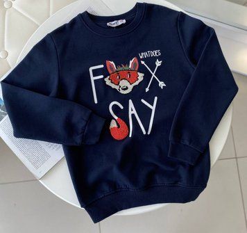 Кофта свитшот для мальчика с рисунком " FOX SAY" 14333, Wanex, Синий, Для мальчиков, Весна Осень, 122 14333 фото